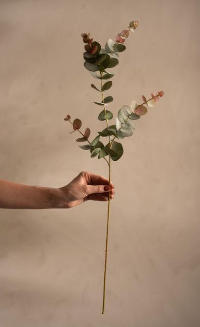 Hovedbilde Kunstig flerfarget Eucalyptus 80cm