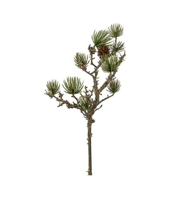 Hovedbilde Mr Plant grønn kvist med kongler 55cm